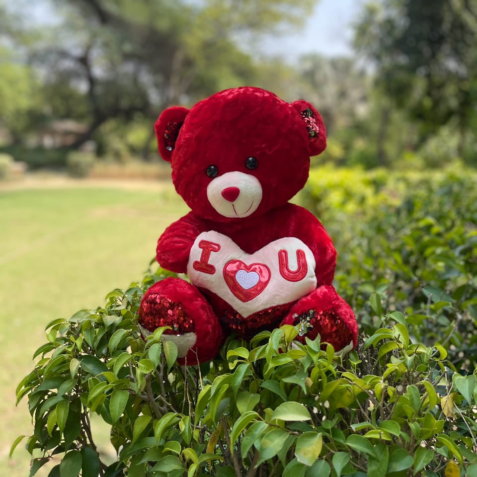 Red teddy bear with 'I § U' heart on a green plant