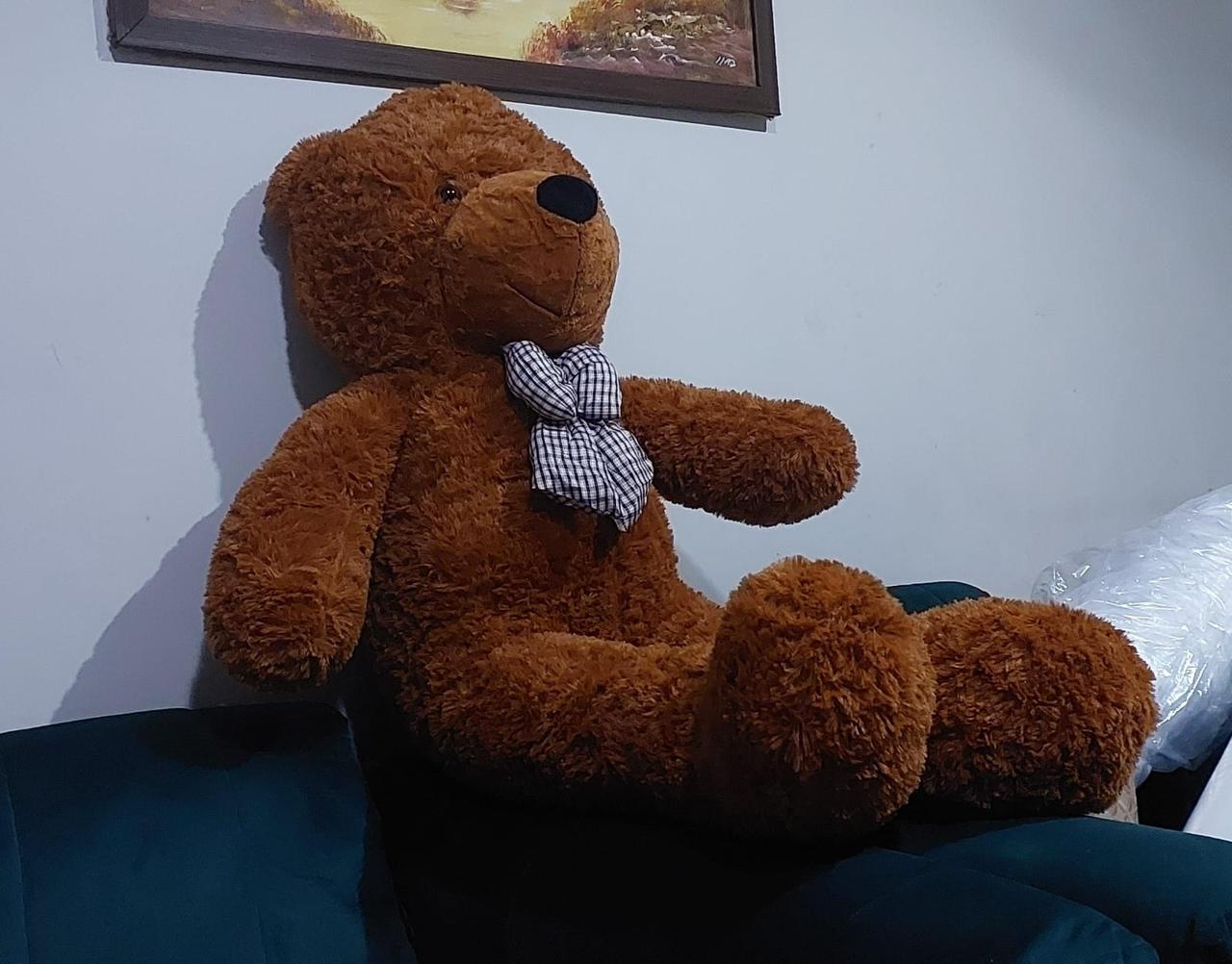 Brown teddy bear with a checkered bow tie sitting on a blue surface.