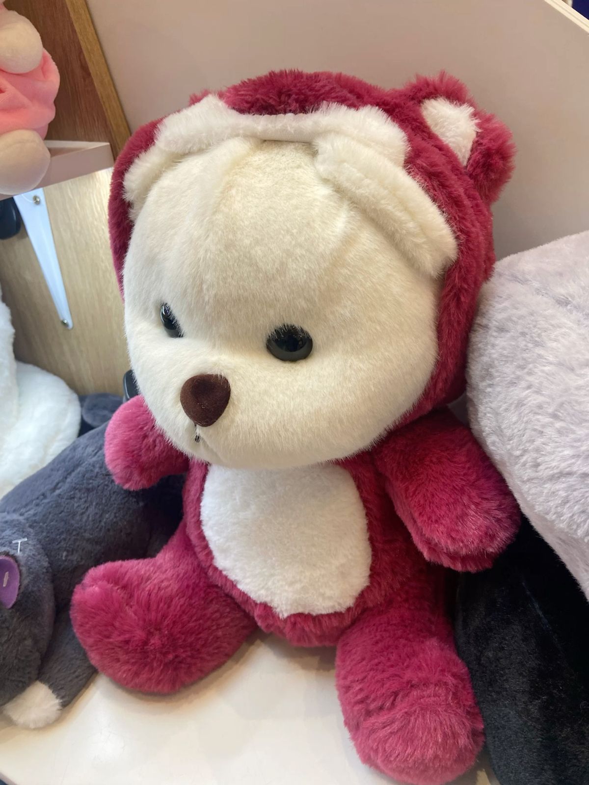 Maroon Hoodie Teddy Bear