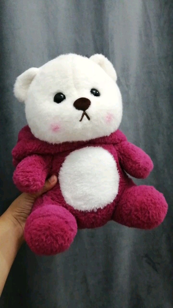 Maroon Hoodie Teddy Bear