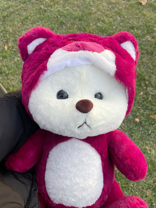 Maroon Hoodie Teddy Bear