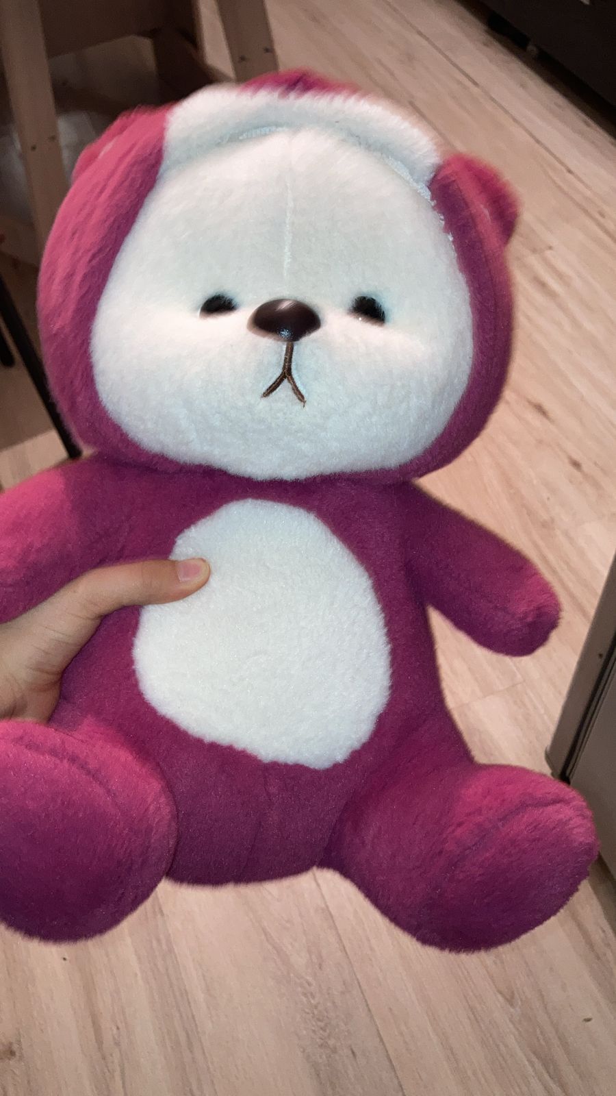 Maroon Hoodie Teddy Bear
