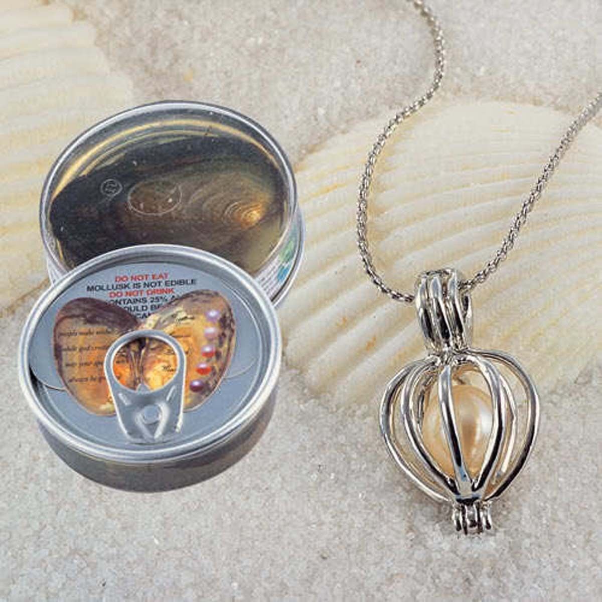 Silver pendant necklace with a shell inside its design, displayed with packaging on a sandy background.