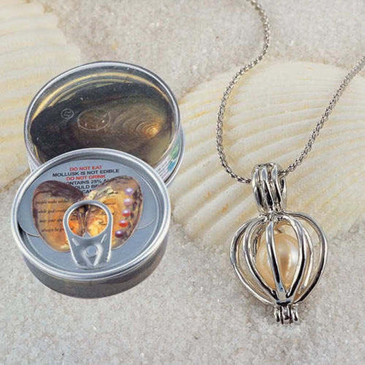 Silver pendant necklace with a shell inside its design, displayed with packaging on a sandy background.